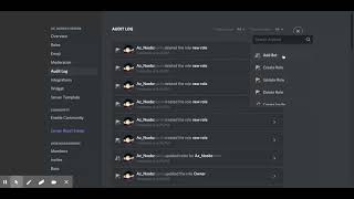 How to work the discord audit log [upl. by Pascha154]