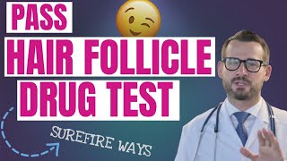 Guaranteed Ways to Pass a Hair Follicle Drug Test  Green Fleets [upl. by Pazice]