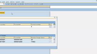 SAP Accounts Payable  Accounts Payable Process In SAP [upl. by Bounds]