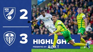 Highlights  Norwich City 23 Leeds United  INCREDIBLE COMEBACK [upl. by Hareehahs590]