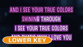 True Colors Karaoke Lower Key  Cyndi Lauper [upl. by Ramuk536]