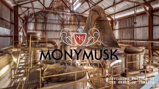 The Museum Of Rum Distillation  Clarendon Distillery Ep02 [upl. by Cheryl467]