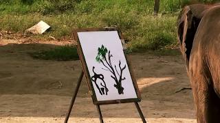 Painting Elephant in Thailand  HD [upl. by Yttik300]