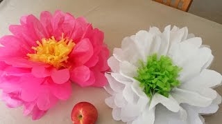 How to Make Tissue Paper Flowers [upl. by Ocirne]