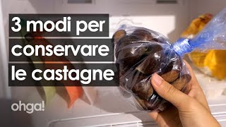 Come conservare le castagne in frigo in freezer e in cantina [upl. by Ravahs]