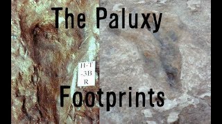 Do the Paluxy River Tracks prove Dinosaurs and Humans coexisted [upl. by Clea]