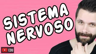 SISTEMA NERVOSO  FISIOLOGIA  Aula  Biologia com Samuel Cunha [upl. by Naejamron]