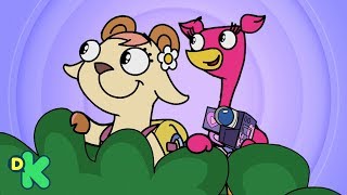 A dança das aves do paraíso  Doki  Discovery Kids Brasil [upl. by Yrnehnhoj]