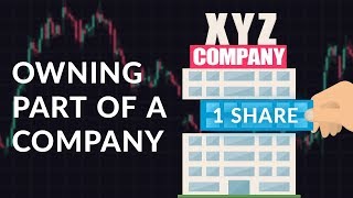 Company Shares  Trading Terms [upl. by Anisamoht]