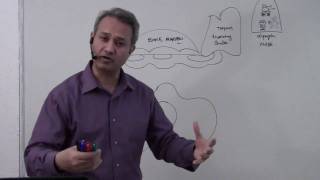 Immunology Macrophage Lecture 5 Part 110 [upl. by Adoc10]