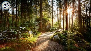 Relaxing Music with Nature Sounds Forest Music Sleep Music Meditation Music [upl. by Sorkin]