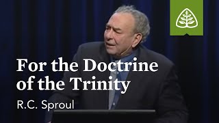 RC Sproul For the Doctrine of the Trinity [upl. by Madella]