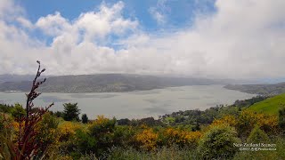 4K Dunedin Otago Peninsula NEW ZEALAND ニュージーランド 紐西蘭 Part 66 [upl. by Neerual906]