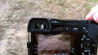 Sony a6000 Live view display setting [upl. by Aklim840]