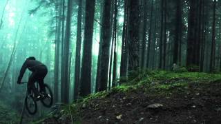 Amazing Freeride Forest [upl. by Odlabso839]