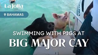 Swimming with Pigs at Big Major Cay Exumas  La Jolla Mom’s Guide [upl. by Ecaidnac]