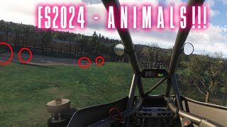 Finding ANIMALS in MSFS2024 [upl. by Buff]