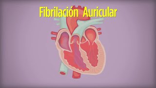 Cómo Vivir con Fibrilación Auricular [upl. by Ueihttam]