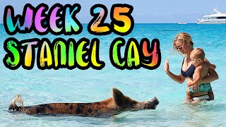 BAHAMAS Swimming Pigs and Hammerhead Sharks  WEEK 25  Staniel Cay and Bimini Bahamas [upl. by Ydde]