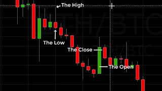 Reading A Crypto Candlestick Chart Basics [upl. by Nostrebor221]