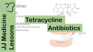 Tetracycline Antibiotics [upl. by Davina]