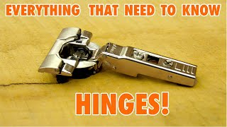 Cabinet Door Hinges  Everything you need to Know [upl. by Annaoj256]