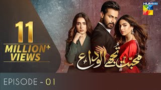 Mohabbat Tujhe Alvida Episode 1  English Subtitles  HUM TV Drama 17 June 2020 [upl. by Rhynd905]