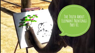 The Truth About Elephant Paintings Part 1 [upl. by Jacob348]