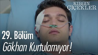 Gökhan kurtulamıyor  Kırgın Çiçekler 29 Bölüm [upl. by Bickart]