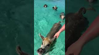 The Bahamas Vacation Trip EXUMA Video 110 4222023 [upl. by Devitt]