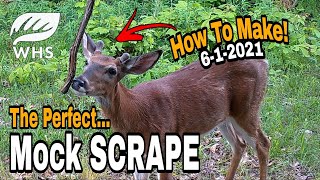 The Perfect Mock Scrape Setup [upl. by Lynn]