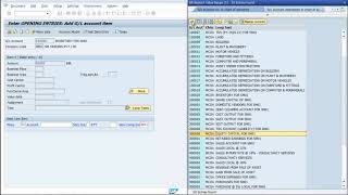 Opening Entries in SAP FICO [upl. by Animahs]