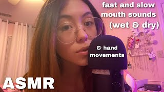 ASMR  Fast Aggressive and Slow Mouth Sounds Wet amp Dry and Hand Movements [upl. by Wilkinson582]