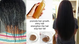 3 Ways to Use Fenugreek Seeds For EXTREME Hair Growth [upl. by Daria]