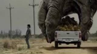 Two Giant Gorilla plays the car [upl. by Imef545]