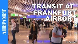 TRANSIT WALK AT FRANKFURT Airport FRA Terminal 1  Connection Flight Transfer Arriving amp Departing [upl. by Sinegra]