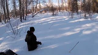 Alaska Bush Tracks Argo Muddox Max Polaris CanAm 6x6 8x8 [upl. by Turnheim947]