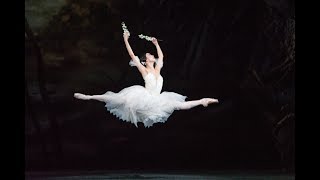 Giselle trailer The Royal Ballet [upl. by Faletti]